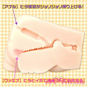 デブ専