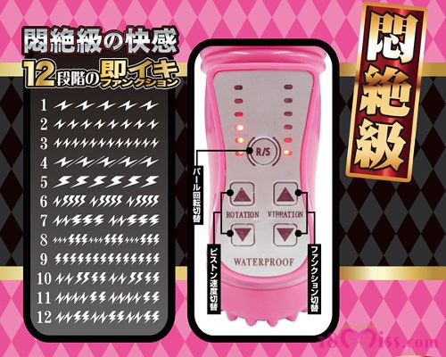 シオフキング - ウインドウを閉じる シオフキング - ウインドウを閉じる