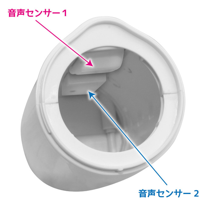 バーチャルシリーズ ラブボイス 商品説明画像3