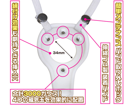 マグネットパワー 白虎王 - ウインドウを闭じる マグネットパワー 白虎王 - ウインドウを闭じる