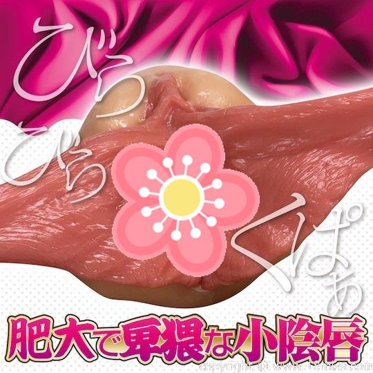 Biraman Mom Big Pussy Lips Masturbator - Jukujo MILF fetish onahole toy - Kanojo Toys