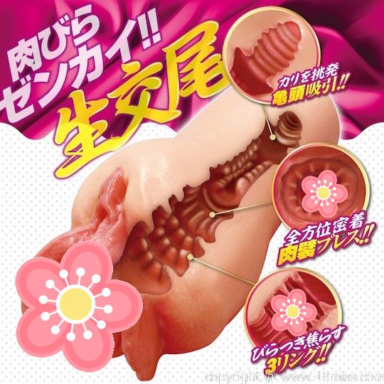 Biraman Mom Big Pussy Lips Masturbator - Jukujo MILF fetish onahole toy - Kanojo Toys