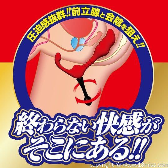Enema Dryve Anal Dildo Expert - Butt toy for prostate and perineum stimulation - Kanojo Toys