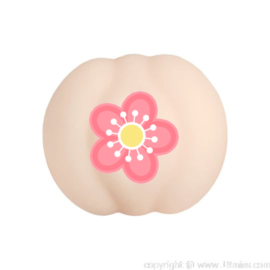 Nijigen Kanojo 2D Girlfriend Reina Kisaragi Onahole - Mobile game school teacher character pocket pussy - Kanojo Toys