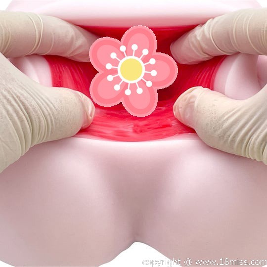 Floor Sex Zero Succubus Gal Standard Masturbator - Flatbed-style waist pocket pussy -18miss