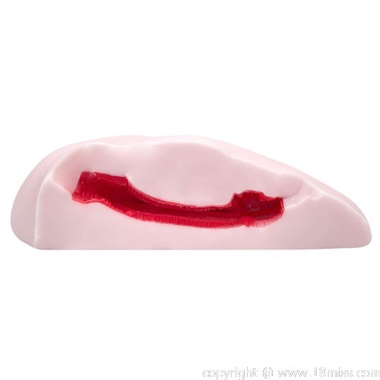 Floor Sex Zero Succubus Gal Standard Masturbator - Flatbed-style waist pocket pussy -18miss