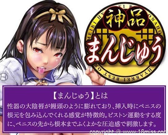 Meiki Hyakkei Best Onahole Manju - Tight Japanese masturbator toy -18miss