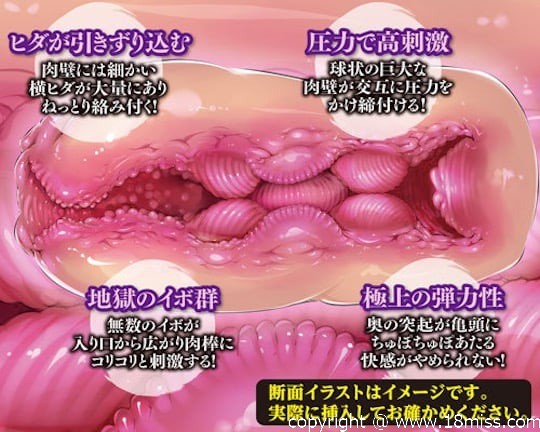 Meiki Hyakkei Best Onahole Manju - Tight Japanese masturbator toy -18miss
