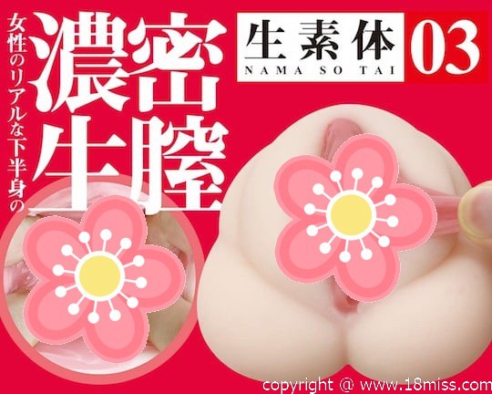 Nama Sotai 03 Perfect Pussy Onahole - Realistic Japanese masturbator toy -18miss