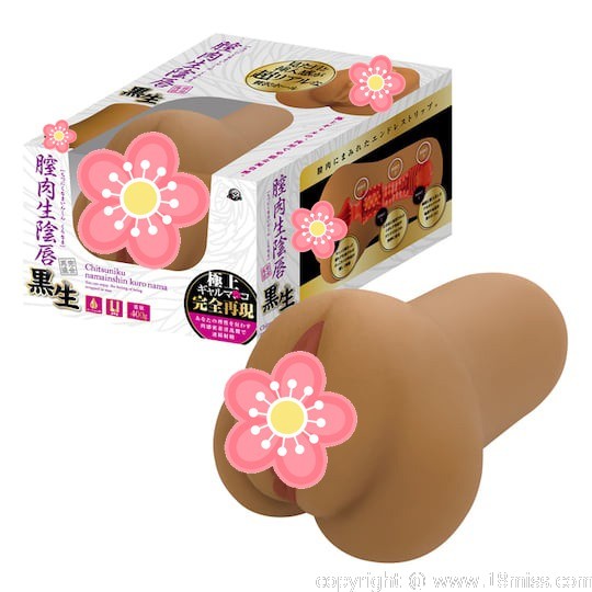 Chitsuniku Raw Labia Onahole Tanned Gyaru - Tight Japanese pocket pussy toy -18miss