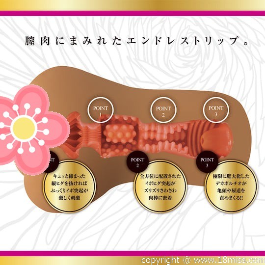 Chitsuniku Raw Labia Onahole Tanned Gyaru - Tight Japanese pocket pussy toy -18miss