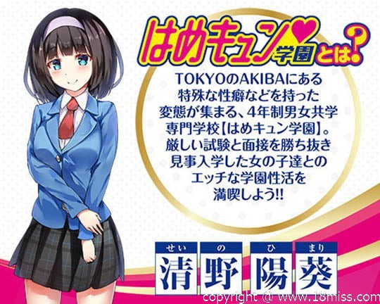 Hame Kyun School Air Doll Himari Seino - Blow-up doll with cute anime face -18miss