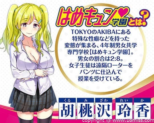 Hame Kyun School Air Doll Reika Kurumizawa - Cute anime character inflatable blow-up doll -18miss