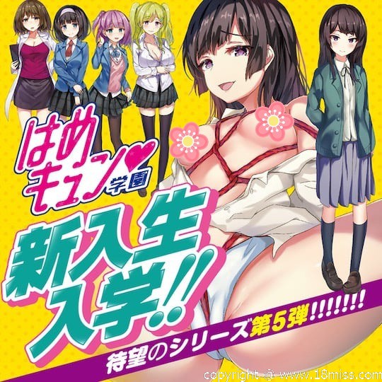 Hame Kyun School Air Doll Ichika - Japanese schoolgirl blowup sex doll -18miss