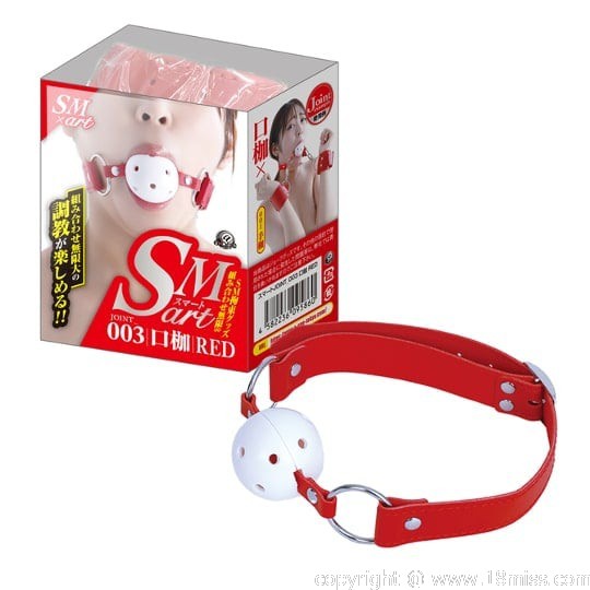 SMart Ball Gag Red - BDSM mouth restraint harness -18miss