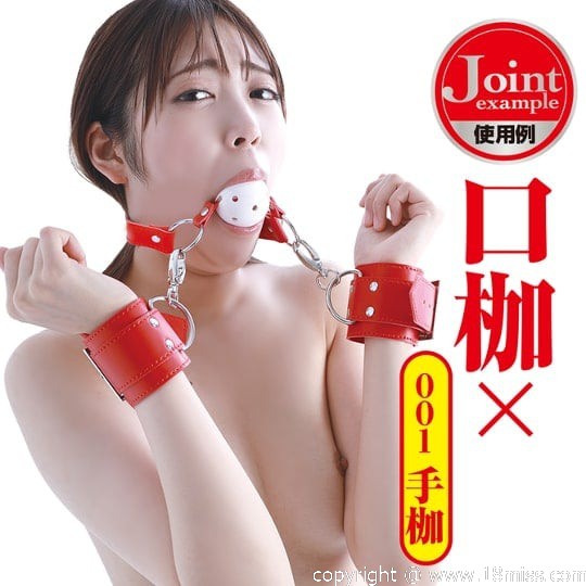 SMart Ball Gag Red - BDSM mouth restraint harness -18miss