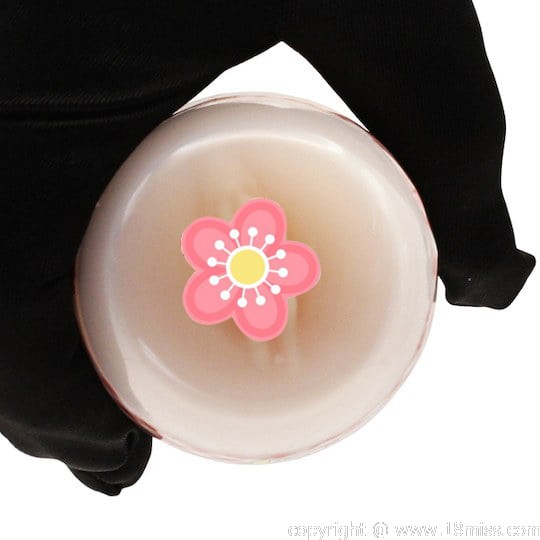 Saimin Seishido Hypnosis Sex Guidance Capsule Hole Collection Reika Kurashiki - OVA hentai series character masturbator toy - 18miss