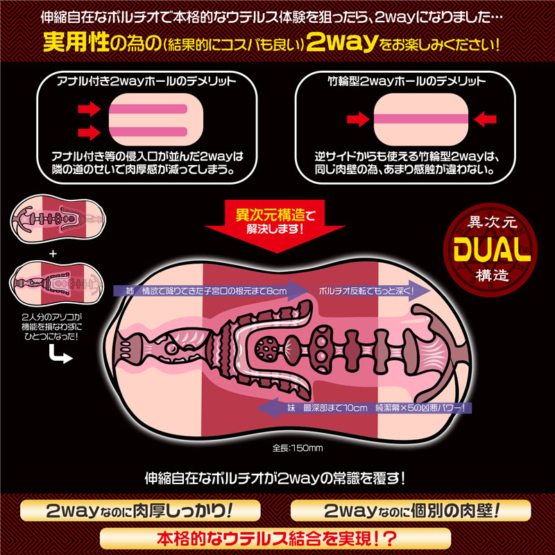 極彩名器 - Uterus Duo 雙子宮 (極彩 ウテルス デュオ)