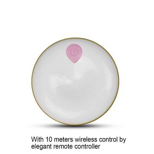 IJOY Rechargeable Wireless Remote Control Clitoral Vibe IJOY Rechargeable Wireless Remote Control Clitoral Vibe