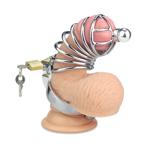 Penetration Metal Chastity Cage Penetration Metal Chastity Cage