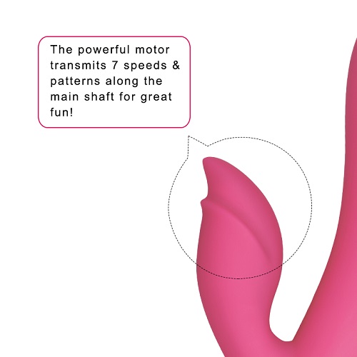 Dreamer II Rechargeable Vibrator Dreamer II Rechargeable Vibrator