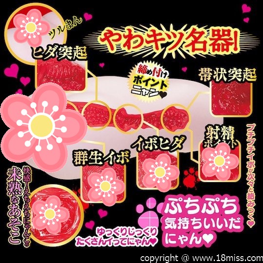 Nekomimi Nyan Nyan Ichika Matsumoto Catgirl Masturbator - JAV Japanese adult video porn star masturbator - Kanojo Toys