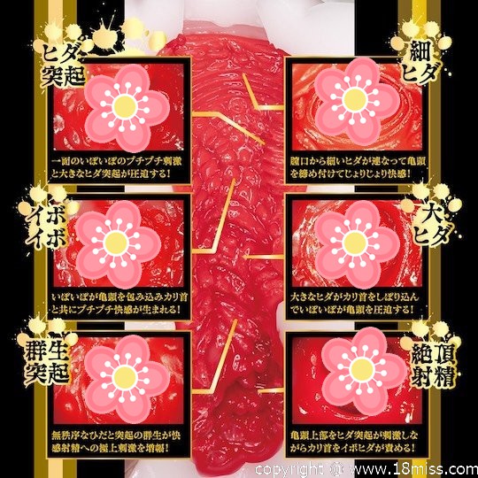 Nekomimi Nyan Nyan Ichika Matsumoto Catgirl Masturbator - JAV Japanese adult video porn star masturbator - Kanojo Toys