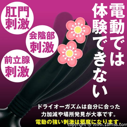 ANALyze Enema Anal Dildo Beginner - Butt play toy for rectum, prostate, and perineum stimulation - 18miss