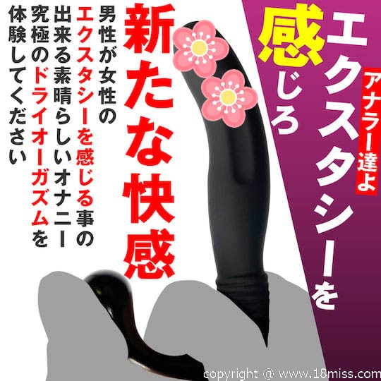 ANALyze Enema Anal Dildo Beginner - Butt play toy for rectum, prostate, and perineum stimulation - 18miss