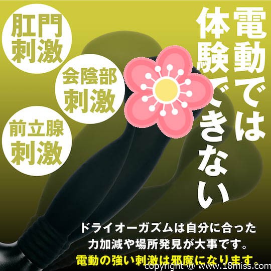 ANALyze Enema Anal Dildo Medium - Butt play toy for rectum, prostate, and perineum stimulation - 18miss