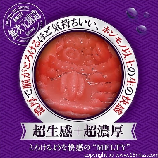 Gucho Nure Wet Meiki Vagina Melty - Pocket pussy with bullet vibrator slot, buttocks - 18miss