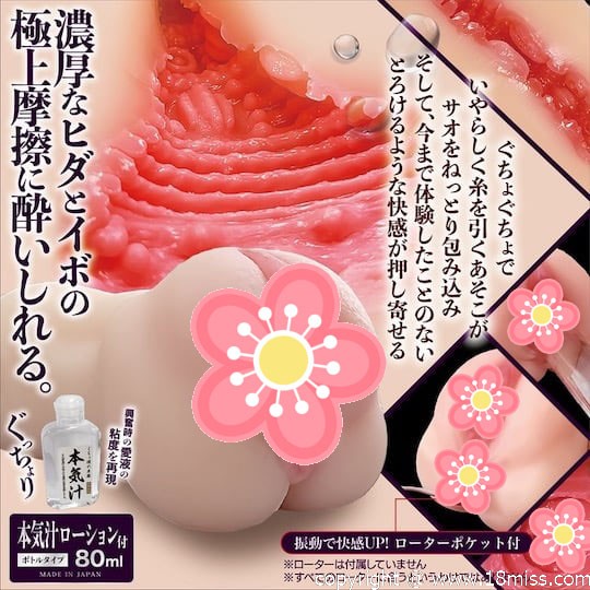 Gucho Nure Wet Meiki Vagina Melty - Pocket pussy with bullet vibrator slot, buttocks - 18miss