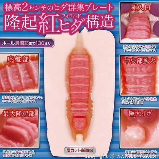 Fjord Stampede Onahole - Tight Japanese masturbator toy - 18miss