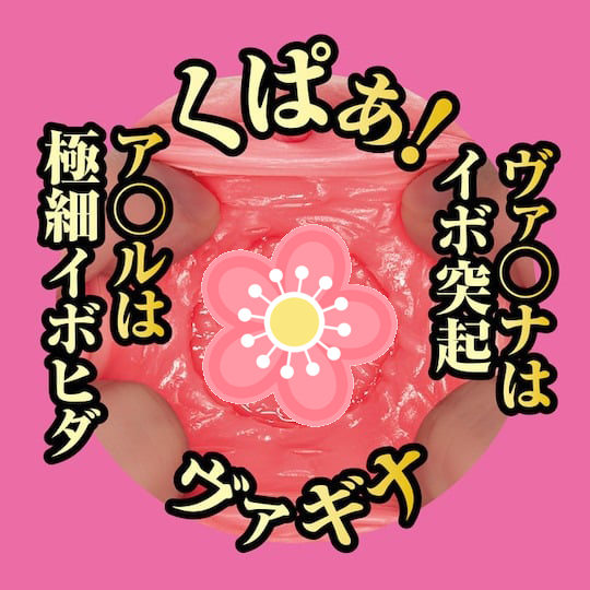 Meiki no Syoumei Re No. 001 Sakura Miura - Japanese adult video porn star masturbator - 18Miss