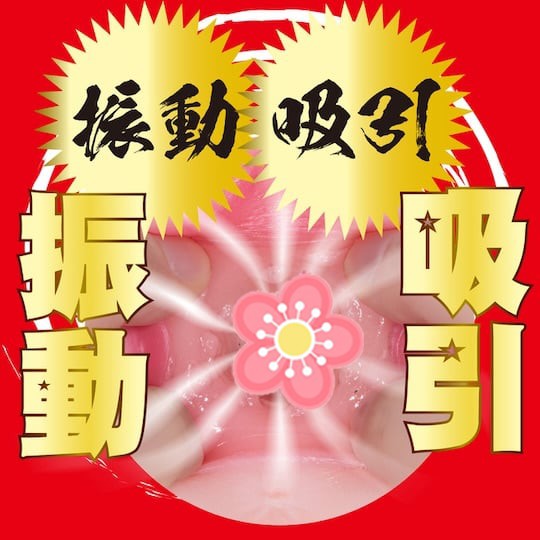 Waka Misono Perfect Body Powered Masturbator - Vibrating and sucking porn star torso toy with breasts - 18miss
