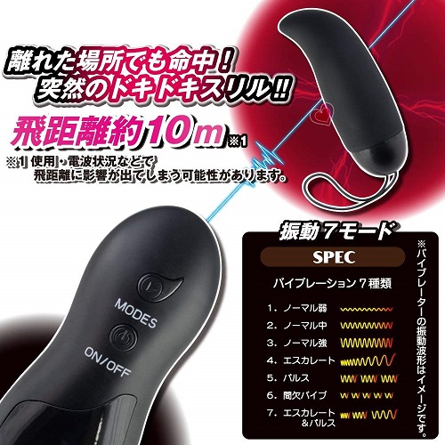 onahole japan