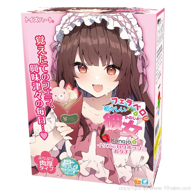 Toys Heart 微笑棒棒糖女友 動漫飛機