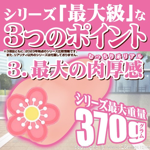 G-19 リアリティ(G-19 Reality)