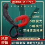 Wild One- ENEMABLE EX Type-γ