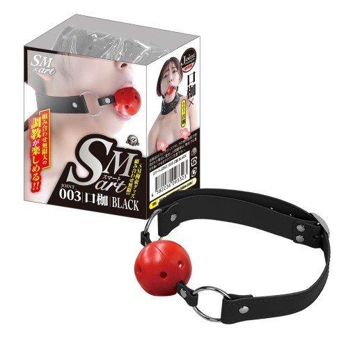 SMart Ball Gag Black BDSM mouth restraint harness